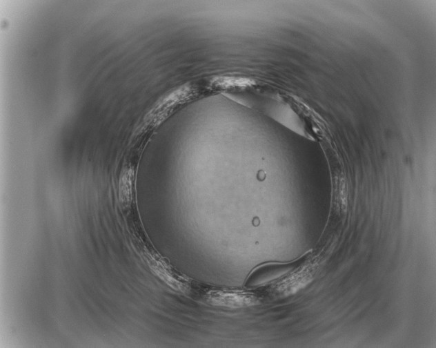 X0000087400475200705042040