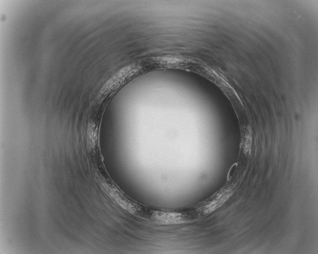 X0000087400476200705042040