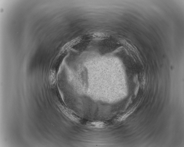 X0000087400478200705042040