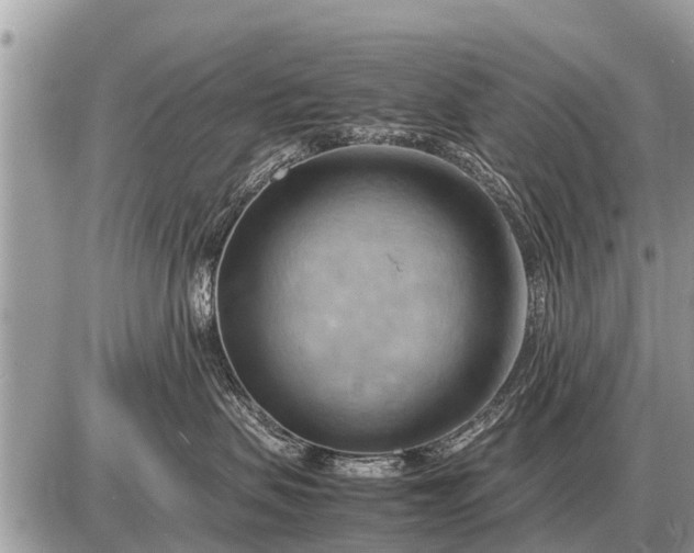 X0000087400479200705042040