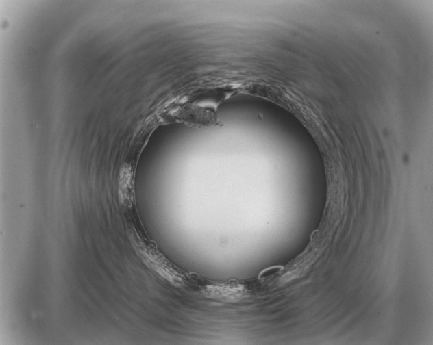 X0000087400480200705042040