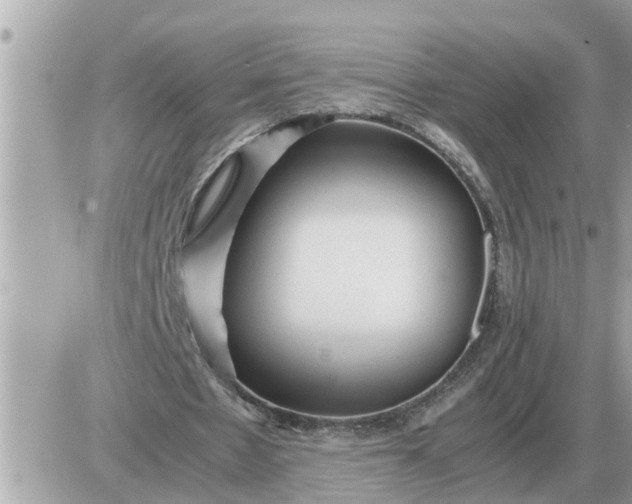 X0000087400481200705042039