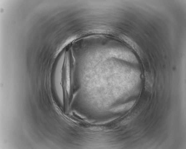 X0000087400482200705042039