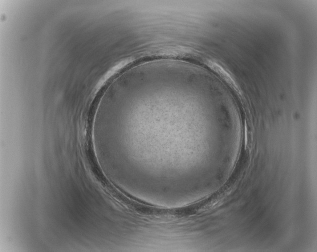 X0000087400483200705042039