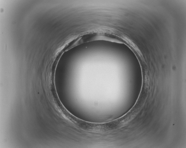 X0000087400485200705042039