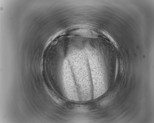 X0000087400486200705042039