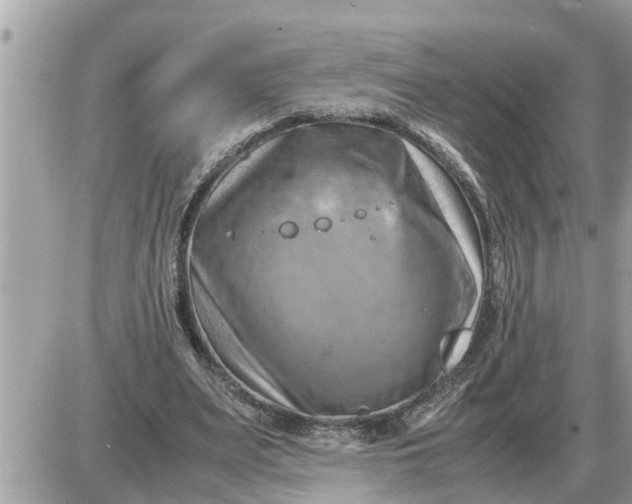 X0000087400487200705042039