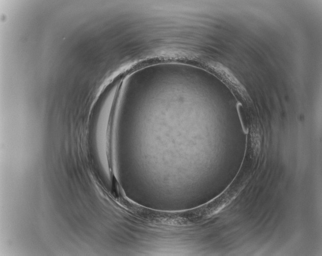 X0000087400488200705042039