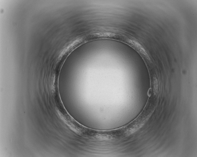 X0000087400490200705042039