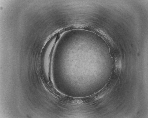 X0000087400492200705042039