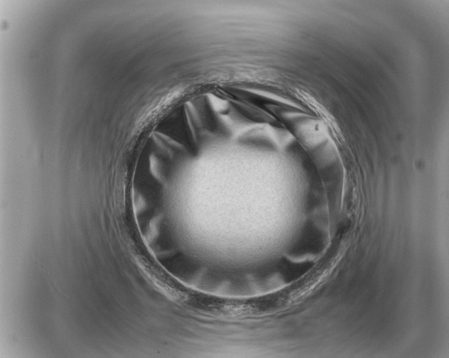 X0000087400493200705042039