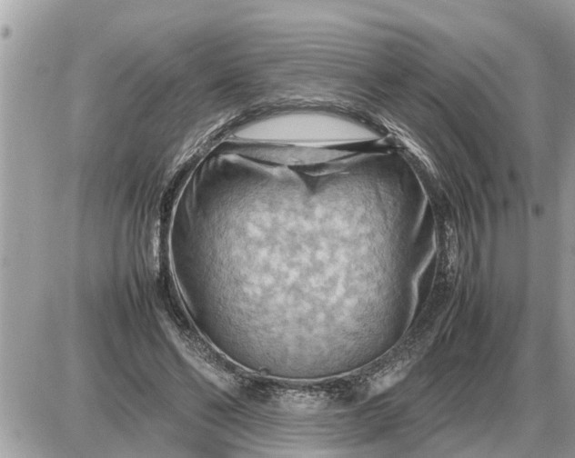 X0000087400494200705042039