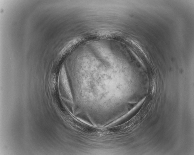 X0000087400495200705042039