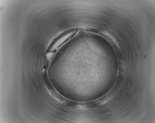 X0000087400496200705042039