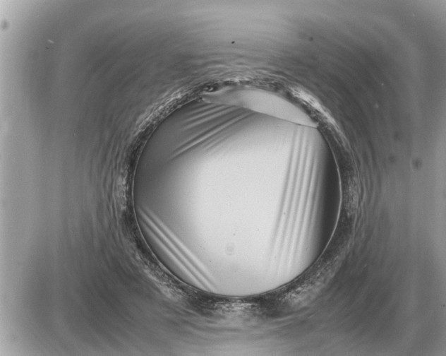 X0000087400497200705042039