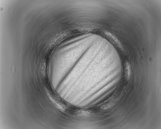 X0000087400498200705042039