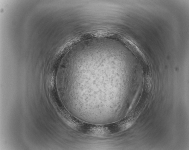 X0000087400499200705042039