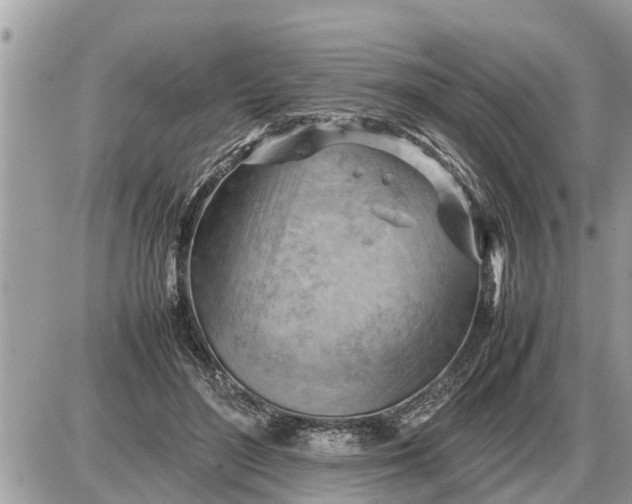 X0000087400500200705042039