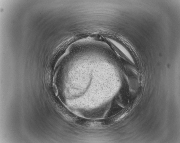 X0000087400501200705042039