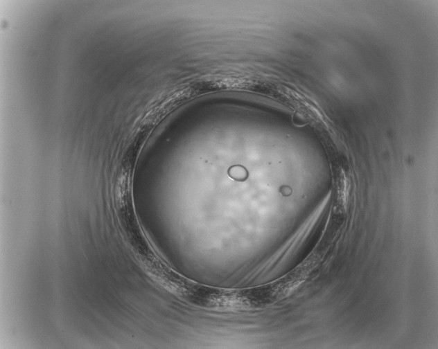 X0000087400503200705042039