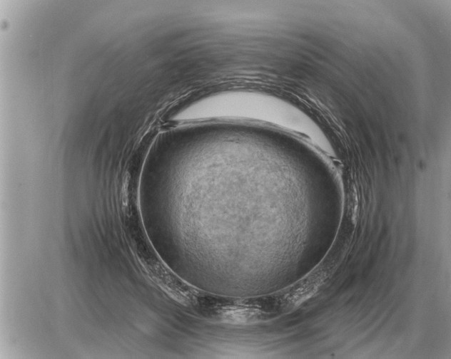 X0000087400504200705042039