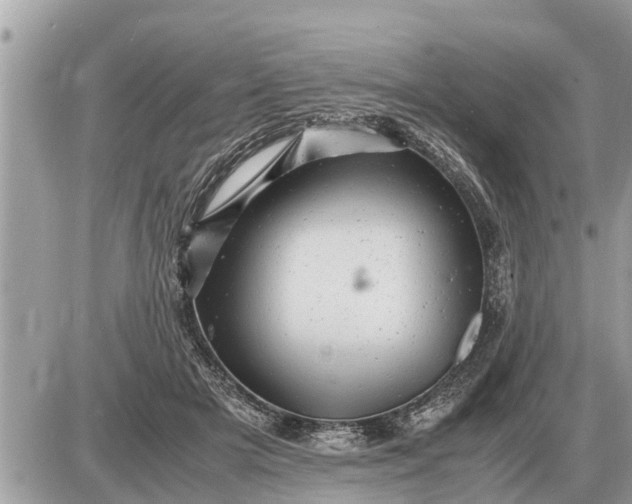 X0000087400505200705042039