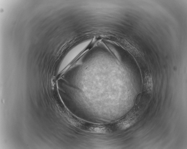 X0000087400506200705042039