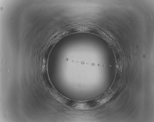 X0000087400507200705042039