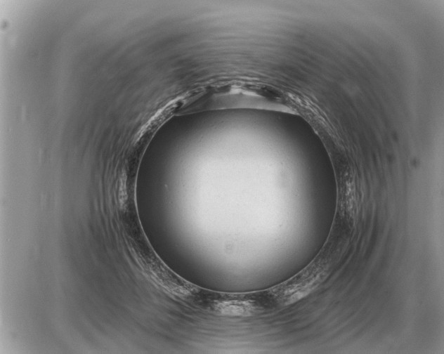 X0000087400508200705042039