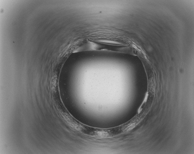 X0000087400509200705042039