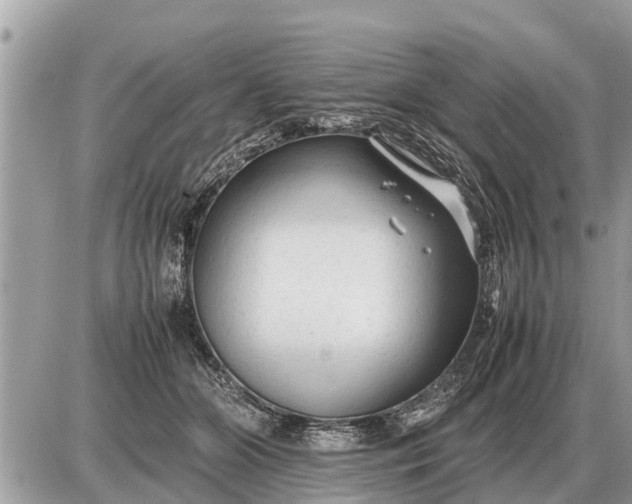 X0000087400510200705042039