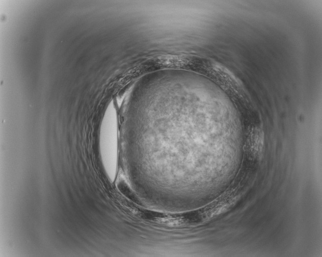 X0000087400511200705042039