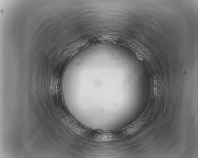 X0000087400514200705042039