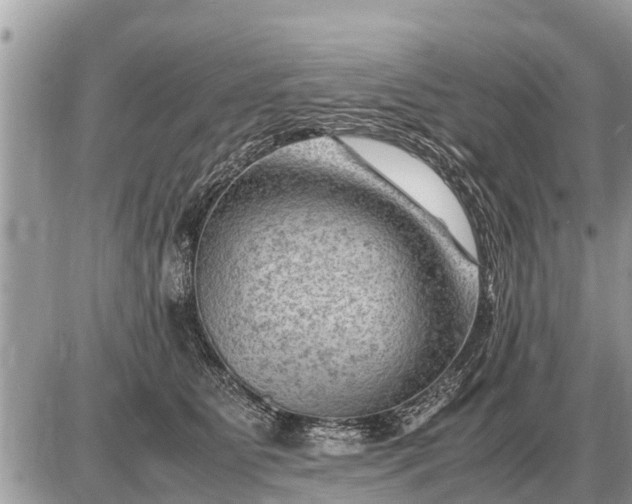 X0000087400515200705042039