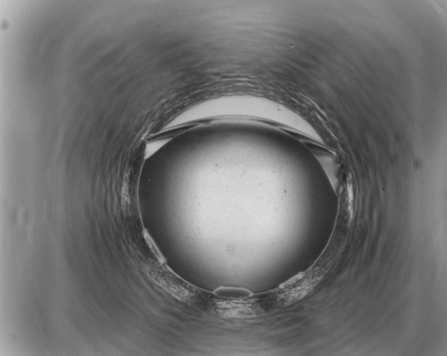 X0000087400516200705042039