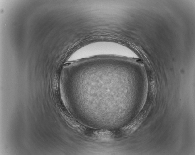 X0000087400517200705042039