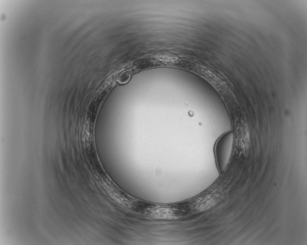 X0000087400518200705042039