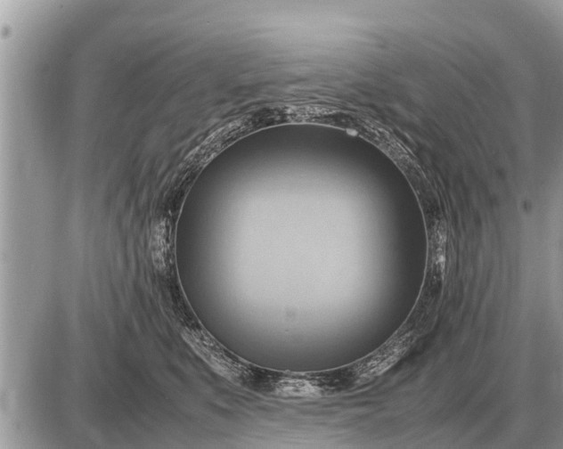 X0000087400519200705042039