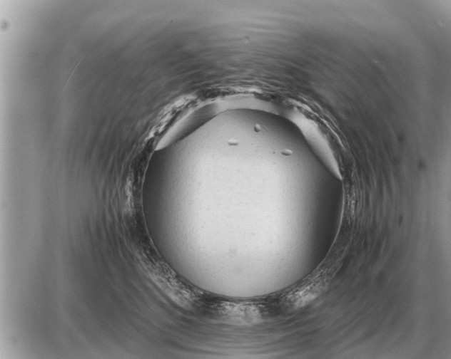 X0000087400520200705042038