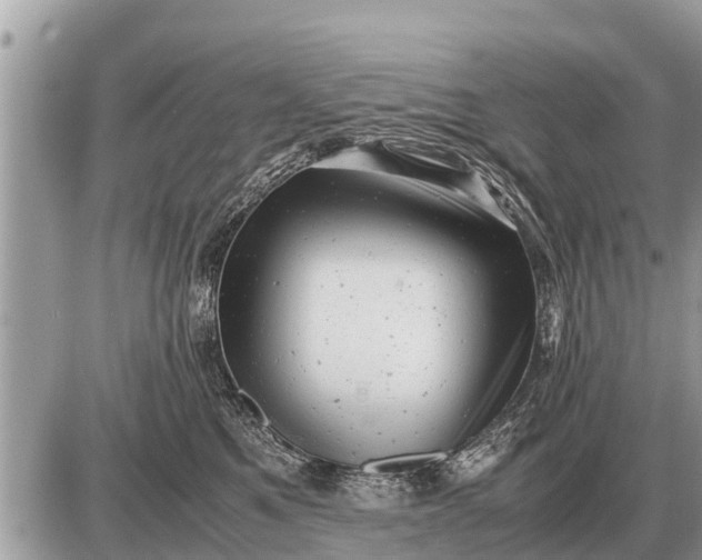 X0000087400521200705042038