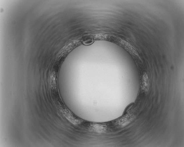 X0000087400522200705042038