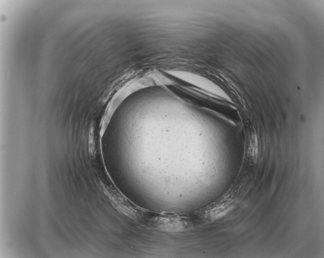 X0000087400524200705042038