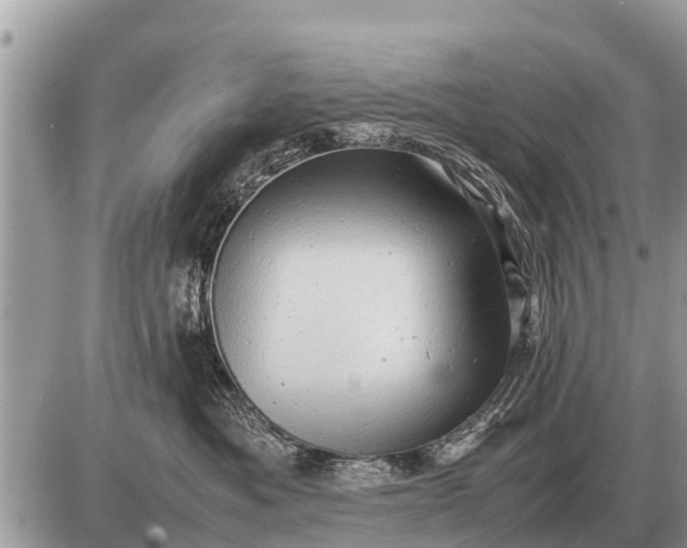 X0000087400525200705042038