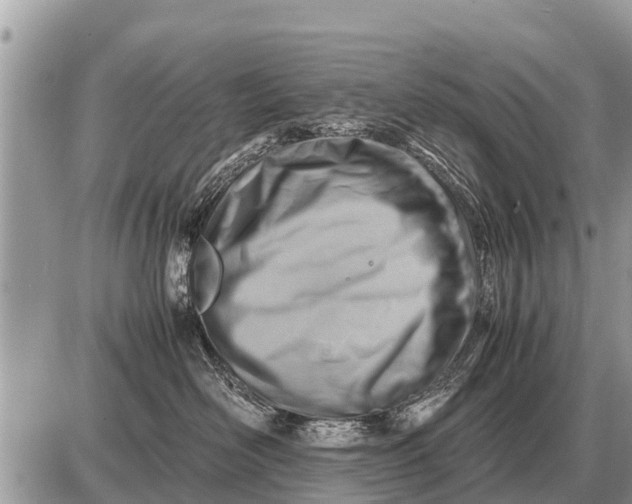 X0000087400526200705042038