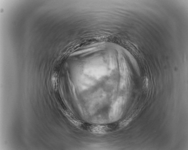 X0000087400527200705042038