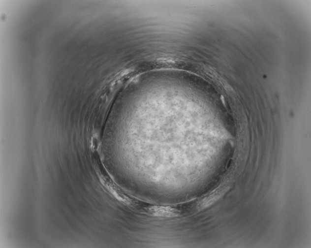 X0000087400528200705042038