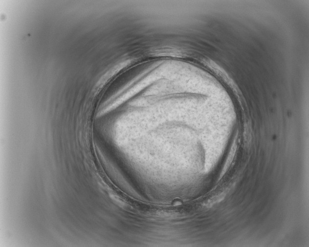 X0000087400529200705042038