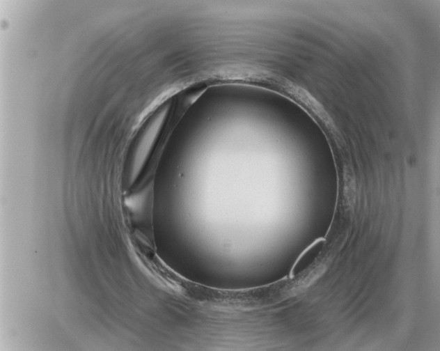 X0000087400530200705042038