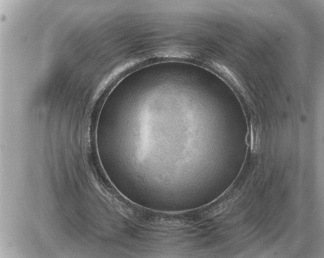 X0000087400531200705042038