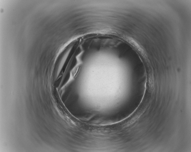 X0000087400532200705042038